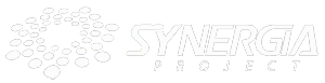 cropped logo www synergia project 1.png