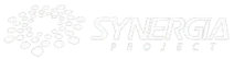 cropped logo www synergia project 1.png